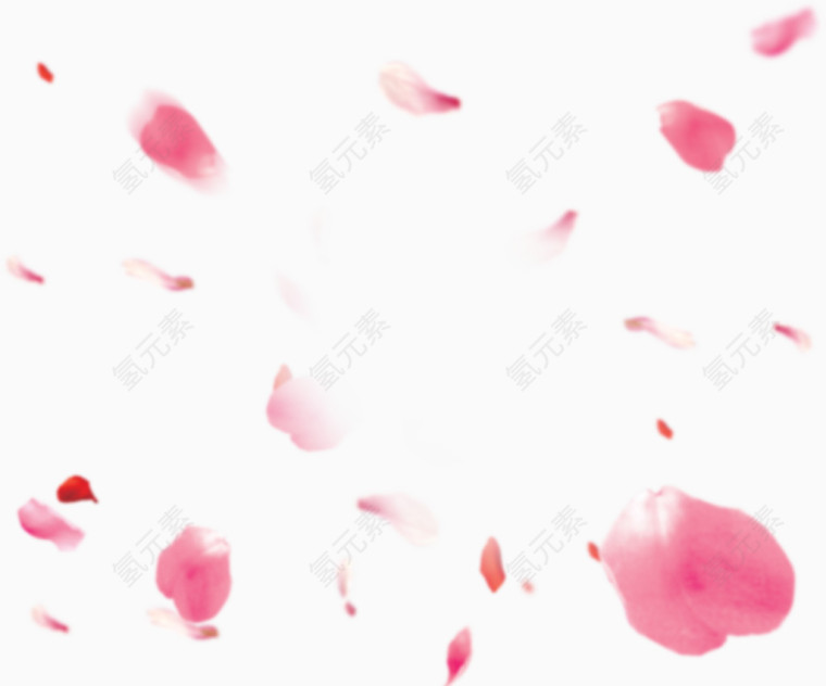 粉色花瓣雨