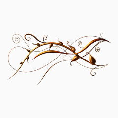 铜色美丽花藤你值得拥有