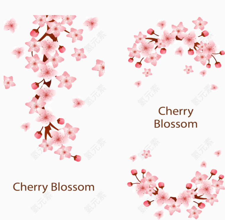 粉色浪漫樱花