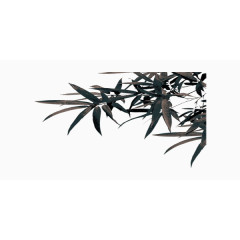 中国风竹子水墨画矢量图