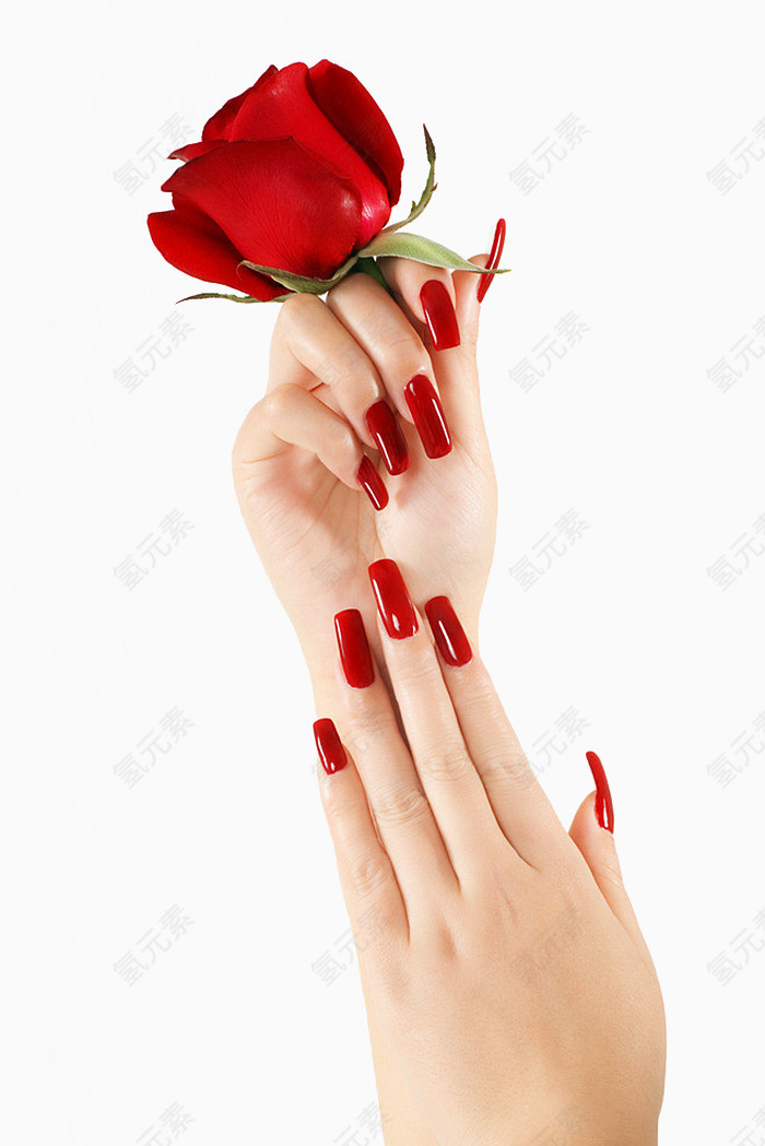 手势花