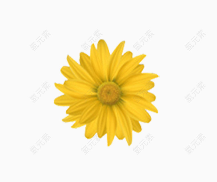 鲜花