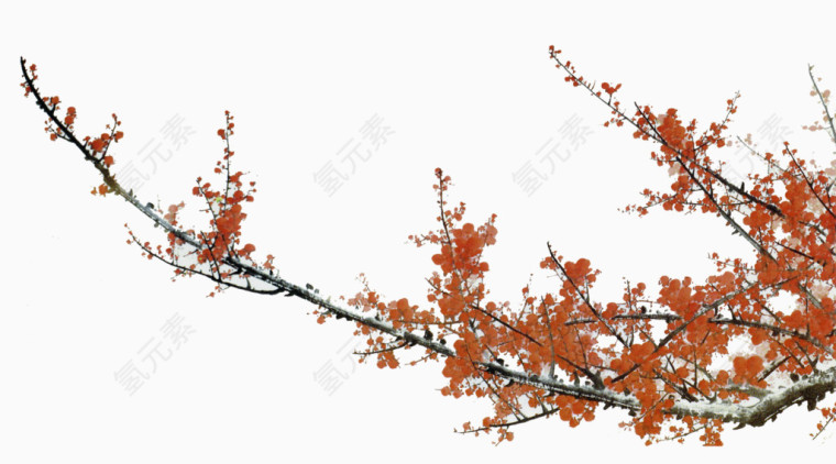 红花满枝头免抠素材