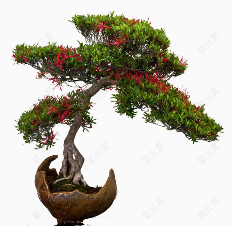 矢量素材创意风景树