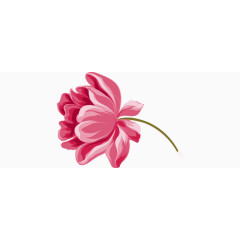 手绘红色花朵