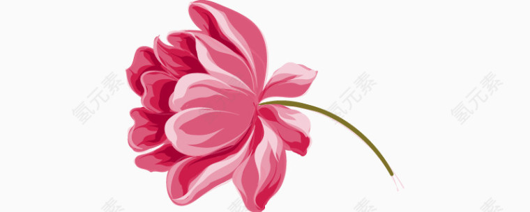 手绘红色花朵