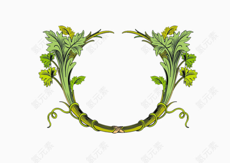 弧形植物线勾边框