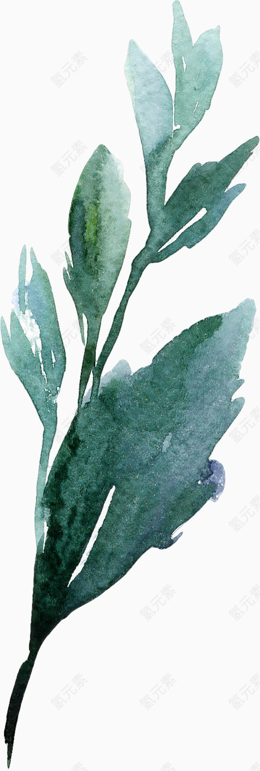 水彩绿色树叶