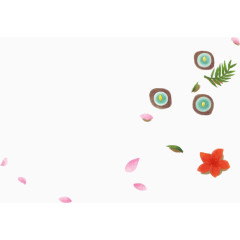 手绘花瓣装饰