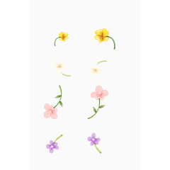 精美小花装饰图案