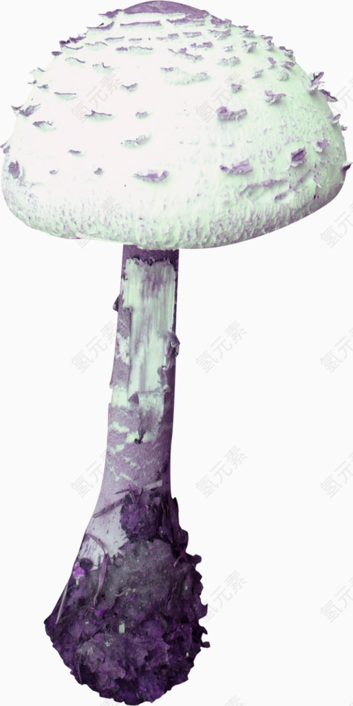 白色毒蘑菇