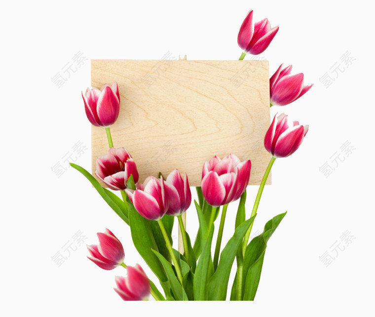 红色鲜花木质标题榜