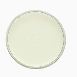 打发前淡奶油 雀巢 蓝风车 总统 安佳