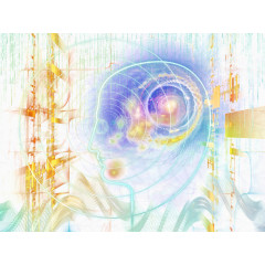 梦幻圆环大脑