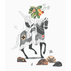 海棠果脸部骑士图