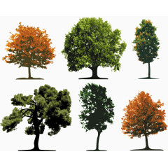 树木种类矢量图
