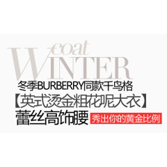 花大衣淘宝字体排版