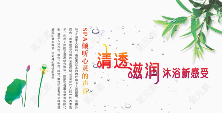 SPA养生清透滋润
