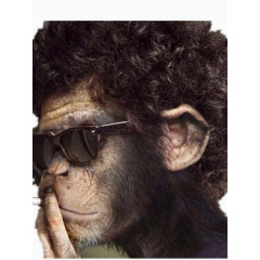 戴眼镜抽烟的猩猩