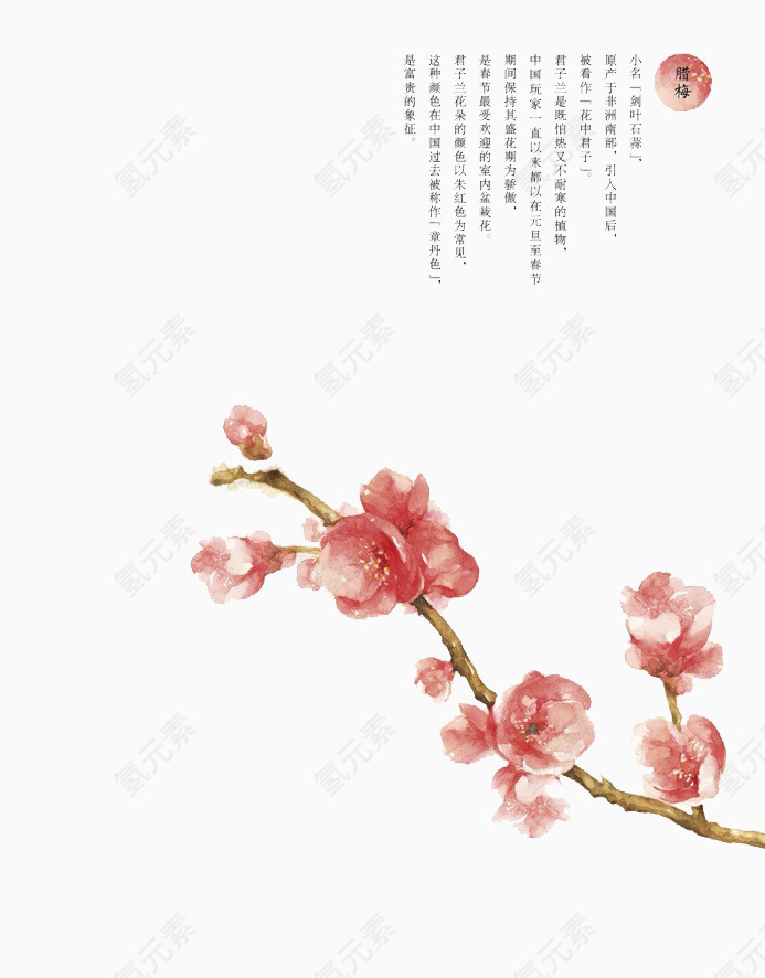 梅花与诗词