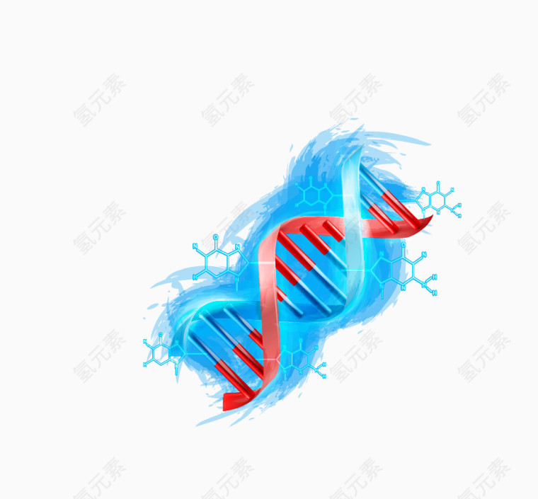 DNA