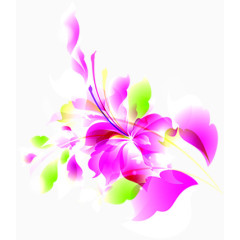 花瓣