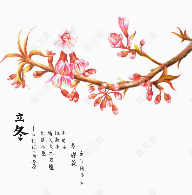 中国风立冬