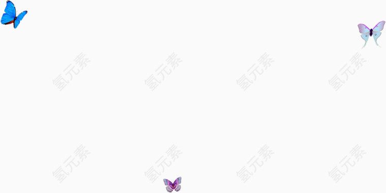 蝴蝶