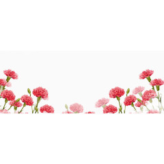 一片康乃馨送给母亲