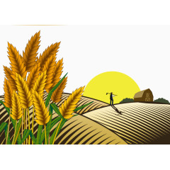 落日农民麦穗田野