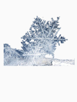 雪花
