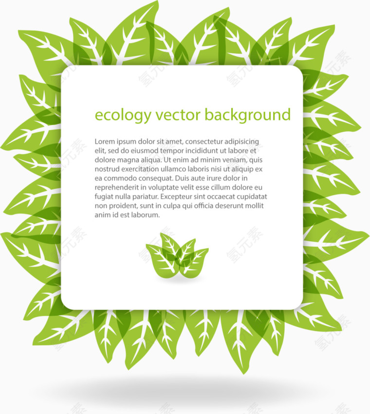 绿叶衬托的边框