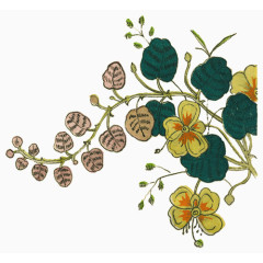 花纹