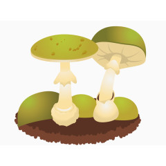 绿色蘑菇素材图片