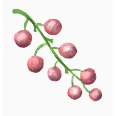 清新森系水彩小果子