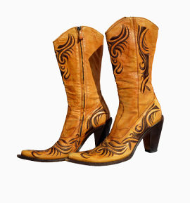 女性尖头高跟鞋