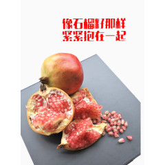 像石榴籽一样团结