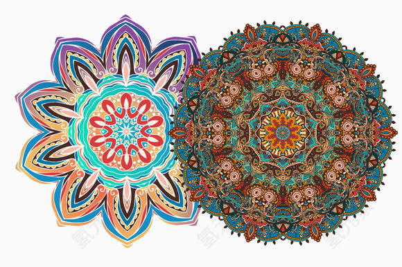花卉插画