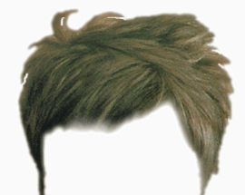 头发   假发   发型