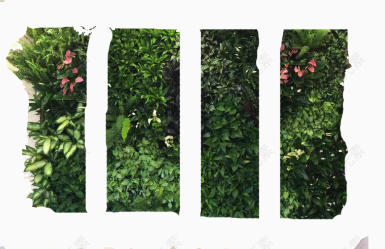 使植物墙更显美观