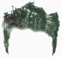 头发   假发   发型