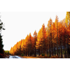 河北承德御道口风景图