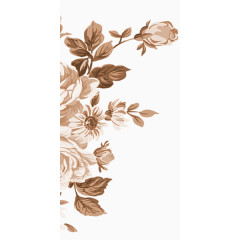 淡褐色国画牡丹