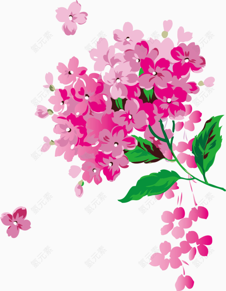 手绘樱花花纹