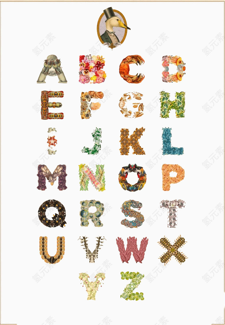 极具视觉美感字母
