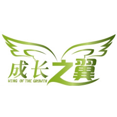 成长之翼