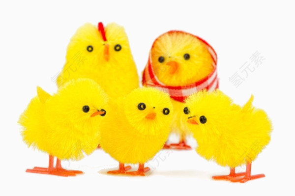 卡通小鸡素材