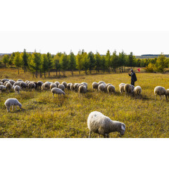 唯美木兰围场风景区
