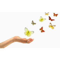 创意放飞多彩蝴蝶