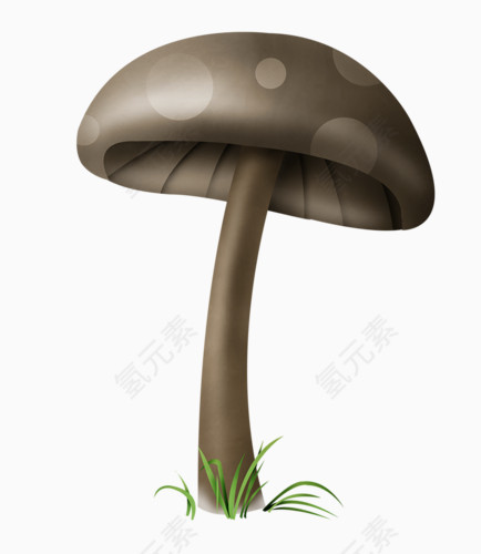灰色蘑菇